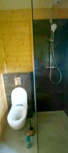 a small bathroom with a toilet and a shower at Nad Cicha in Ujsoły