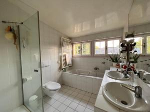 a bathroom with a sink and a toilet and a tub at Le Cottage in Vésenaz