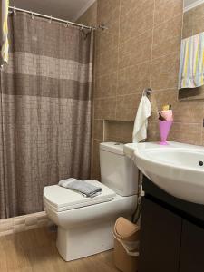 a bathroom with a toilet and a sink at Rania's House in Piraeus