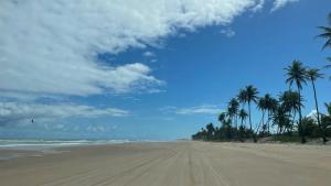 a view of a beach with palm trees and the ocean at Apartamento Doce Lar Resort Treebies Subauma in Subaúma