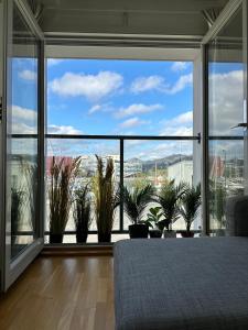 a bedroom with a large window with potted plants at Sandnes condo in Sandnes