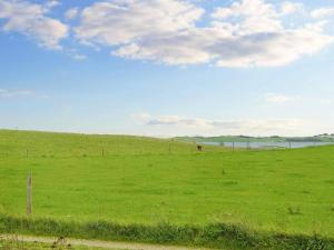 um campo de relva verde com um cavalo à distância em 8 person holiday home in Knebel em Knebel