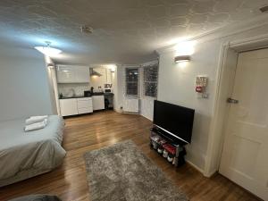 a living room with a bed and a flat screen tv at Studio Room In Brighton in Brighton & Hove
