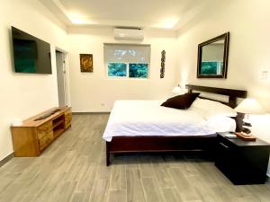 a bedroom with a bed and a television in it at Jacarandas #16, 5 min tamarindo in Villarreal