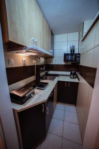 a small kitchen with a sink and a stove at Premium 030 in Bor