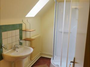 a bathroom with a sink and a shower at Gîte Montmirail, 3 pièces, 4 personnes - FR-1-410-211 in Montmirail