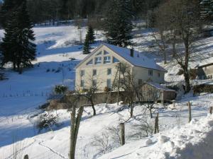 une maison blanche dans la neige avec des arbres enneigés dans l'établissement Gîte Cornimont, 3 pièces, 4 personnes - FR-1-589-84, à Cornimont