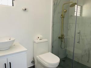 La salle de bains est pourvue d'une douche, de toilettes et d'un lavabo. dans l'établissement Santiago Paradise Haven, à Santiago de los Caballeros
