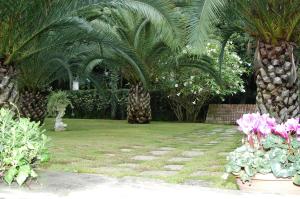 Vonkajšia záhrada v ubytovaní Villa Solaria + 5 fotografií