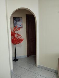 a hallway with a door and a plant in a vase at Departamento Sol in Manta