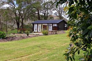 a small house in the middle of a yard at Avocate' Cottage in Whiritoa