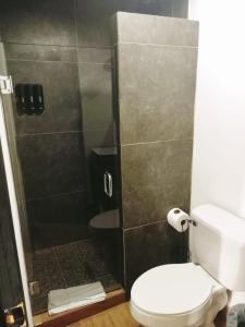 a bathroom with a shower with a toilet and a sink at VALLE LIFE in Sansoni