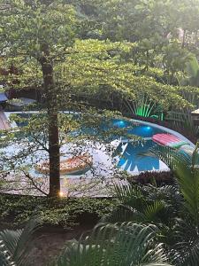 a pond in a garden with a tree at Maui Maui Wellness- Taipu de Fora in Barra Grande