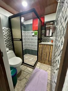 a small bathroom with a toilet and a shower at Caribbean View House in Tortuguero