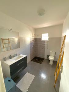 La salle de bains est pourvue d'un lavabo et de toilettes. dans l'établissement Évasion tropicale Villa de rêve avec piscine à Petit Bourg, à Petit-Bourg