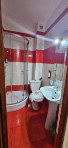 Koupelna v ubytování Hotel Bran Stoker