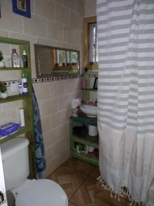 a bathroom with a toilet and a shower curtain at Donde la Euli in Pitrufquén