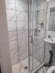 y baño con ducha y lavamanos. en Garsoniera Alex en Cluj-Napoca