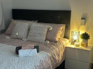 a bedroom with a large bed with a black headboard at Eden Lodge in Auckland