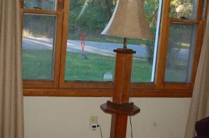 a floor lamp in front of a window with a dog in the yard at The Young’s - Northern Indiana in Gary