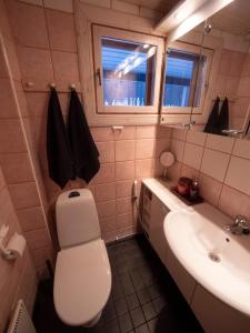 a bathroom with a toilet and a sink at Villa Vilttitossu in Äkäslompolo