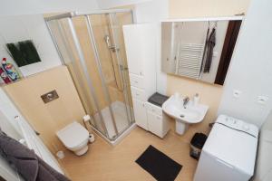 a bathroom with a shower and a toilet and a sink at Vila Viktória - Apartmán Viktória 2 in Ružomberok