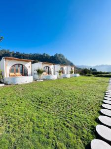 a row of white houses on a grass field at Garden Hill Kintamani with Natural Hot Springs in Kubupenlokan +82 photos