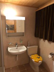 ein Badezimmer mit einem Waschbecken, einem WC und einem Spiegel in der Unterkunft Freude am Berg in Malix