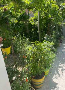 Mery’s Location - Image 4