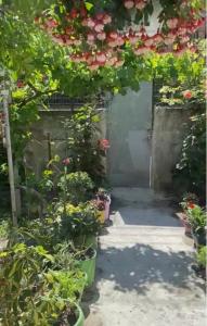 Mery’s Location - Image 8