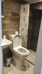 a bathroom with a toilet and a sink at Nektar-apartments in Piraeus