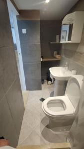 a bathroom with a white toilet and a sink at Nektar-apartments in Piraeus