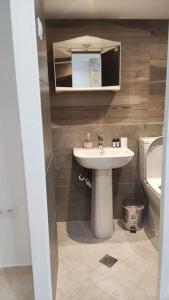 a small bathroom with a sink and a toilet at Nektar-apartments in Piraeus