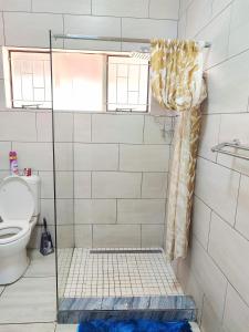 y baño con ducha y aseo. en Zulia home, en Pretoria