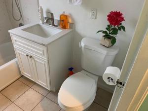 baño con aseo, lavamanos y planta en Tehama Home - Cozy & Affordable Private Rooms near Berkeley, en Richmond