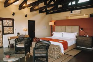 Zulu Rock Lodge - Babanango Game Reserve في Ulundi: غرفة نوم بسرير ومكتب وكراسي