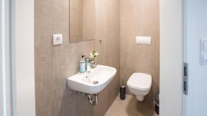 a bathroom with a sink and a toilet at Ferienhaus Emily in Hoddersdeich +31 photos