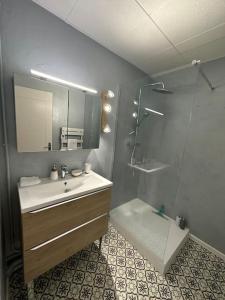 uma casa de banho com um lavatório e um chuveiro em Proche gare centre parking privée clim au calme em Avignon