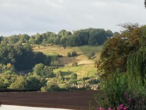 a view of a hill with trees and a field at A Bird House in Belper