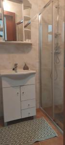 蒙桑的住宿－Casa da Tia Binda，一间带水槽和淋浴的浴室
