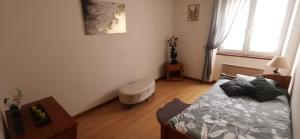 Un dormitorio con una cama y una silla y una ventana. en Gîte Le Clos des Vosges, en Ban-sur-Meurthe-Clefcy