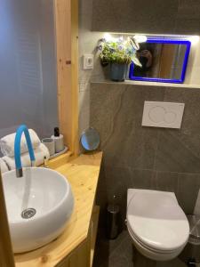 Uma casa de banho em Apartmány Štěpánkova 85