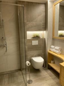 uma casa de banho com um WC e uma cabina de duche em vidro. em Apartmány Štěpánkova 85 em Chrudim
