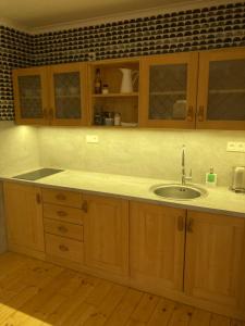 A cozinha ou kitchenette de Apartmány Štěpánkova 85