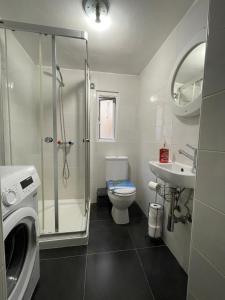 W łazience znajduje się prysznic, toaleta i umywalka. w obiekcie Sliema's Seaside Charmer w mieście Sliema