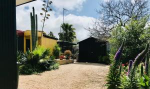 un jardín con plantas y un edificio negro y amarillo en Sinclair Cottage, en Port Lincoln