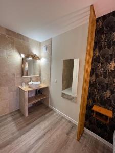 uma casa de banho com um lavatório e um espelho em Appartement « Le Mont Alba » em Perpignan