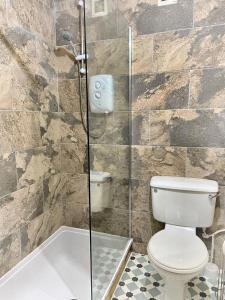 ein Bad mit einem WC und einer Dusche in der Unterkunft Woodland Lodge’s St Clears in Carmarthen