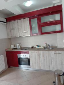 Kuchyň nebo kuchyňský kout v ubytování WING 3 apartman ,,BC ,,