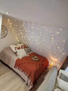 Schlafzimmer mit einem Bett mit Deckenbeleuchtung in der Unterkunft Appartement cocooning in Solre-le-Château